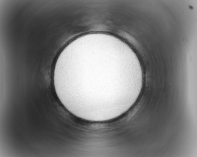 X0000088151212200706111437