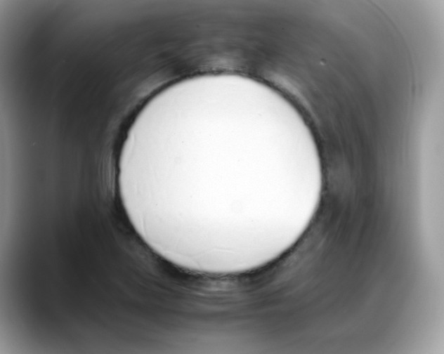 X0000088151219200706111437