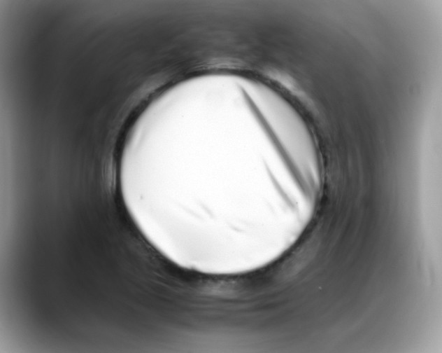 X0000088151221200706111437