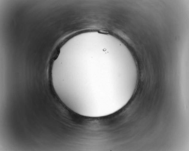 X0000088151222200706111437