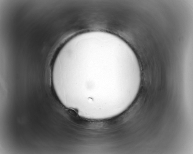 X0000088151223200706111437