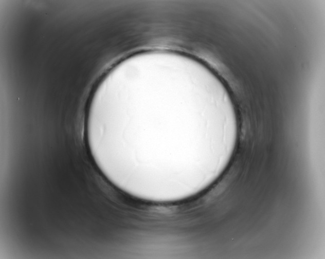 X0000088151224200706111437