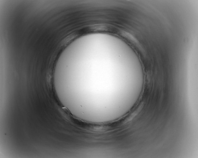 X0000088151225200706111437