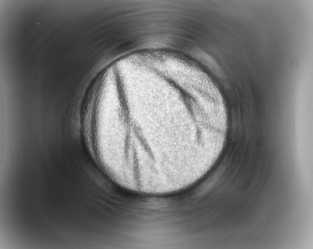 X0000088151226200706111437