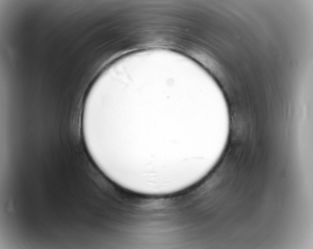 X0000088151228200706111437