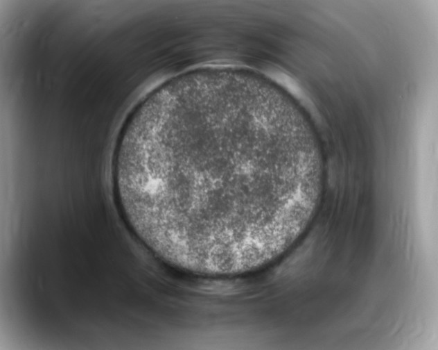 X0000088151229200706111437