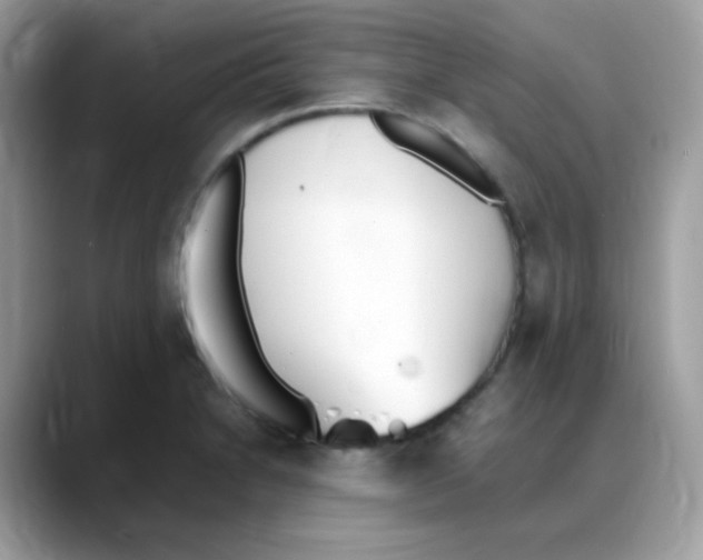 X0000088151230200706111437