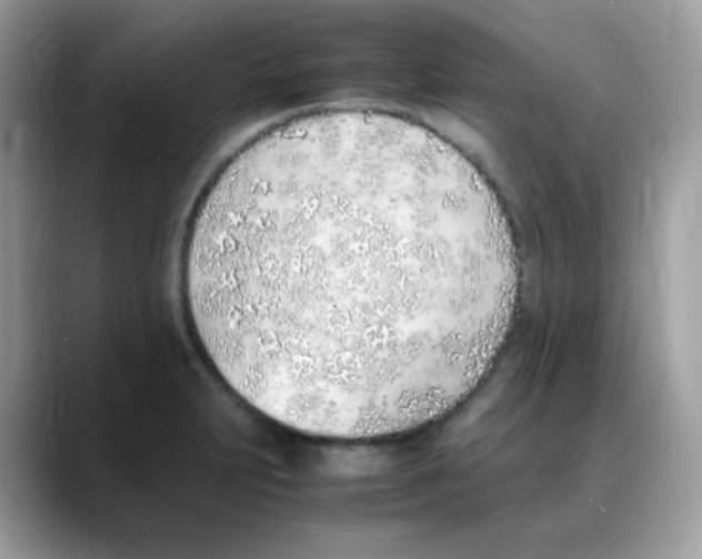 X0000088151231200706111437