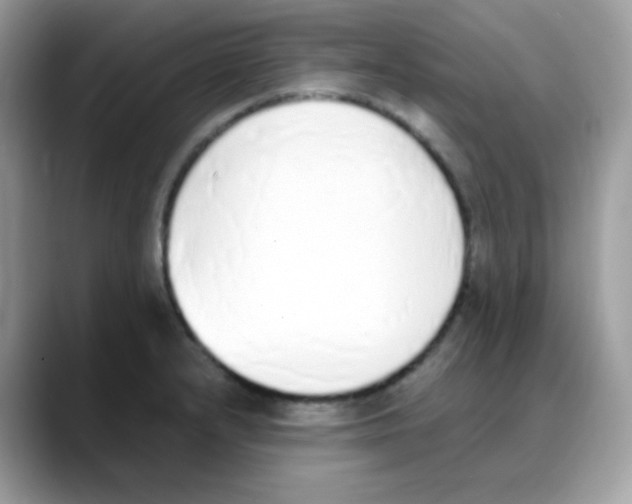 X0000088151232200706111437