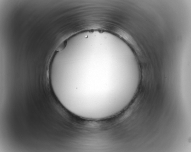 X0000088151234200706111437