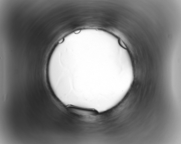 X0000088151237200706111437