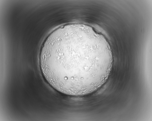 X0000088151239200706111437