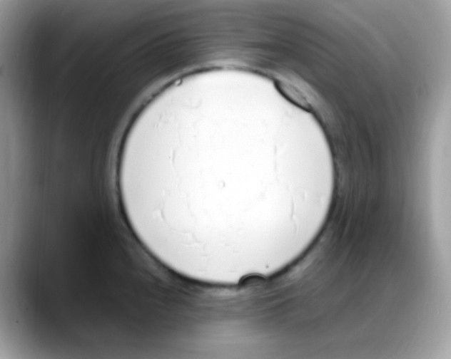 X0000088151240200706111437