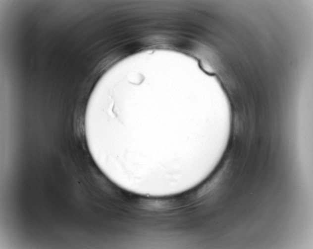 X0000088151241200706111437