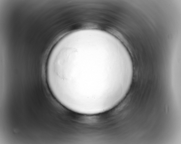 X0000088151243200706111437