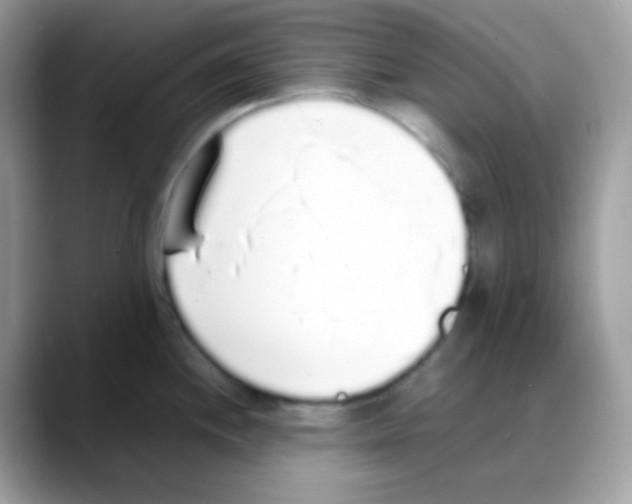 X0000088151244200706111437