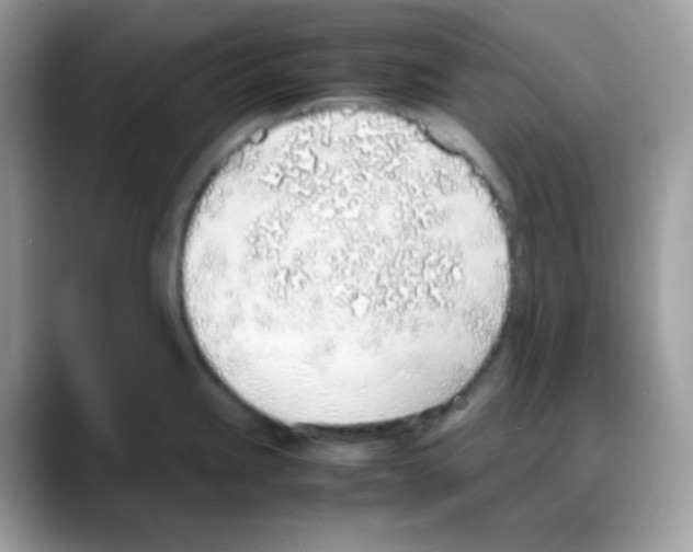 X0000088151245200706111437