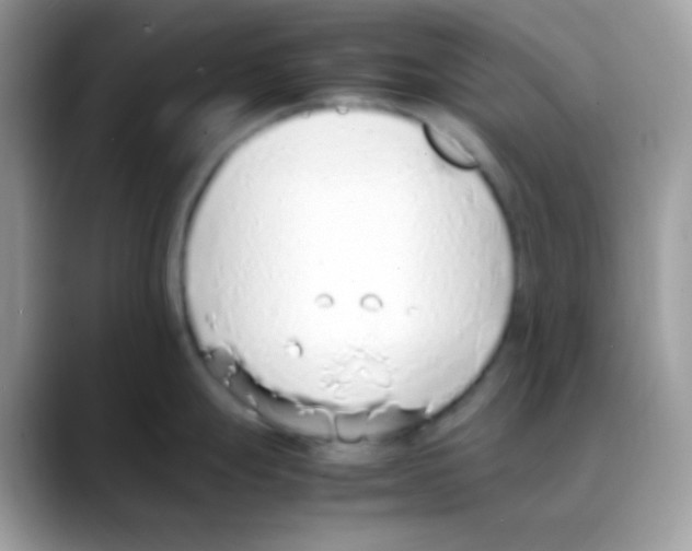 X0000088151247200706111437