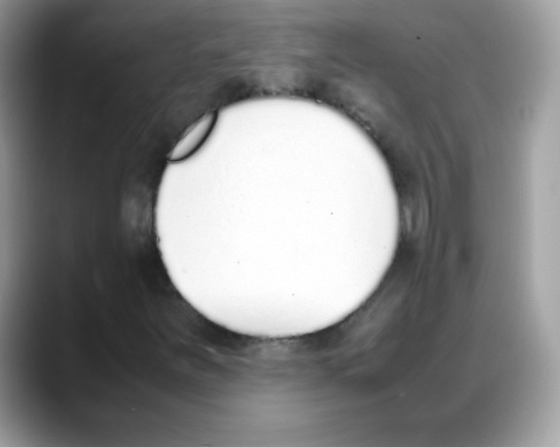 X0000088151251200706111437