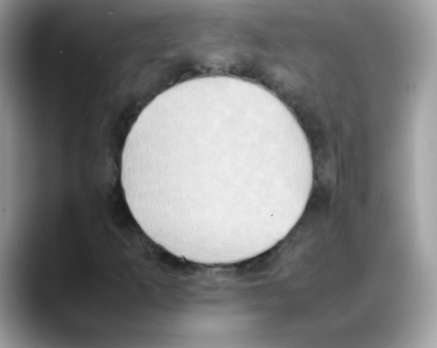 X0000088151253200706111437