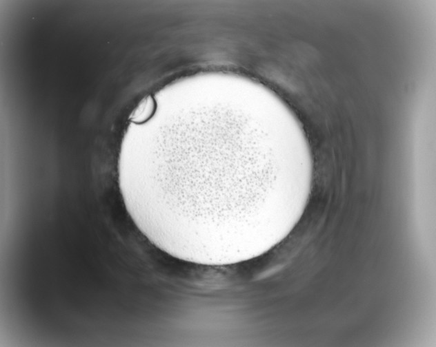 X0000088151255200706111437