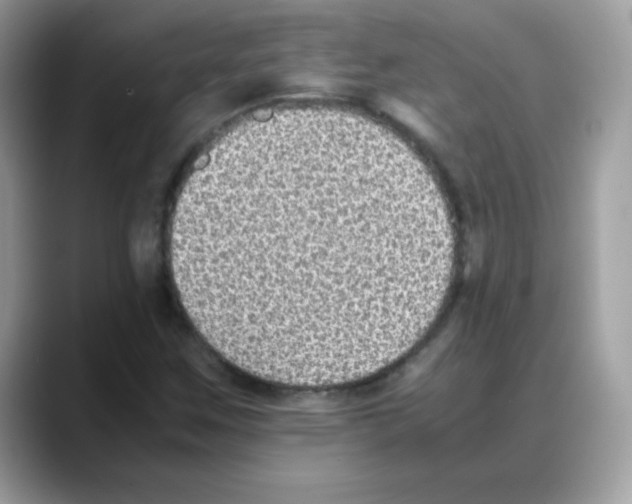 X0000088151259200706111437