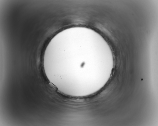 X0000088151261200706111437