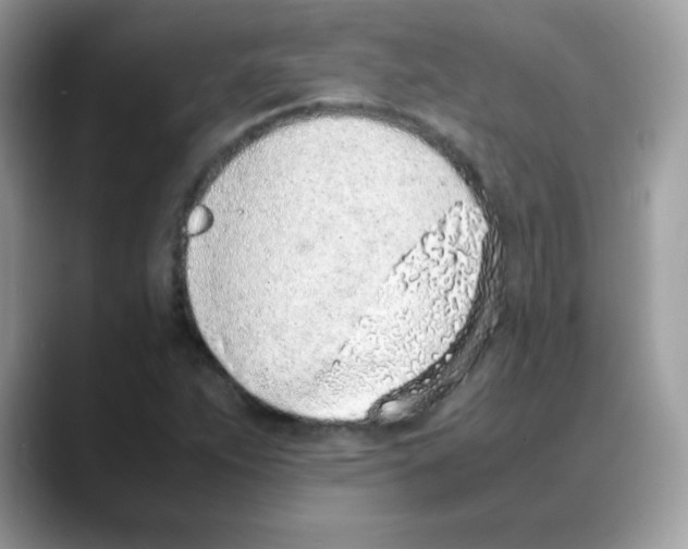 X0000088151263200706111437