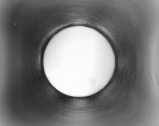 X0000088151270200706111437