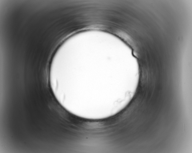 X0000088151276200706111437