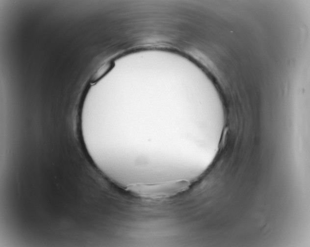 X0000088151277200706111437