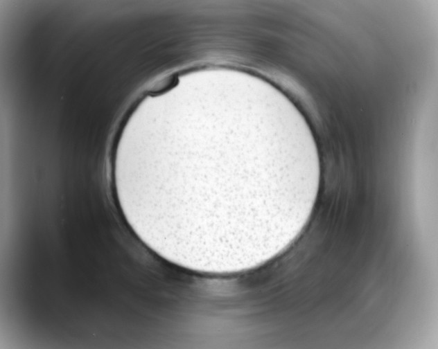 X0000088151280200706111437