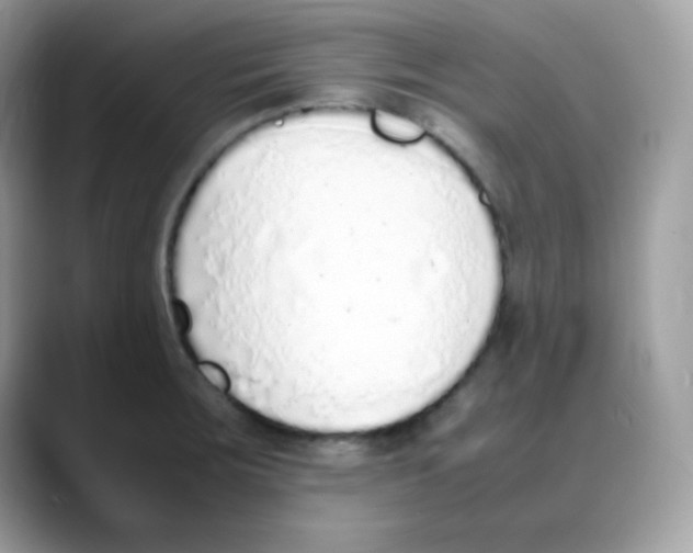 X0000088151283200706111437