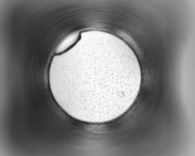 X0000088151284200706111437