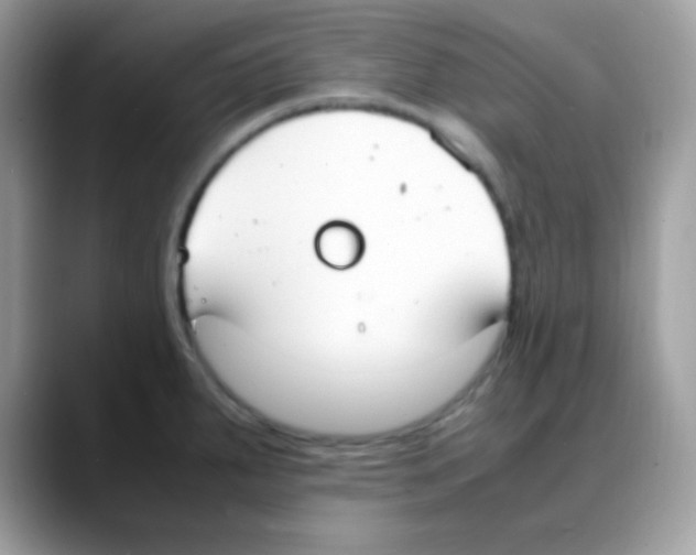 X0000088151287200706111437