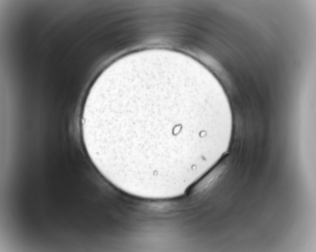 X0000088151288200706111436