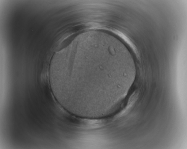 X0000088151289200706111436