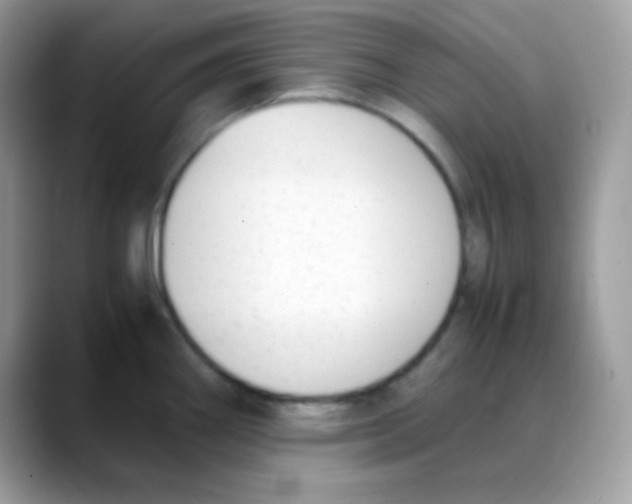 X0000088151290200706111436