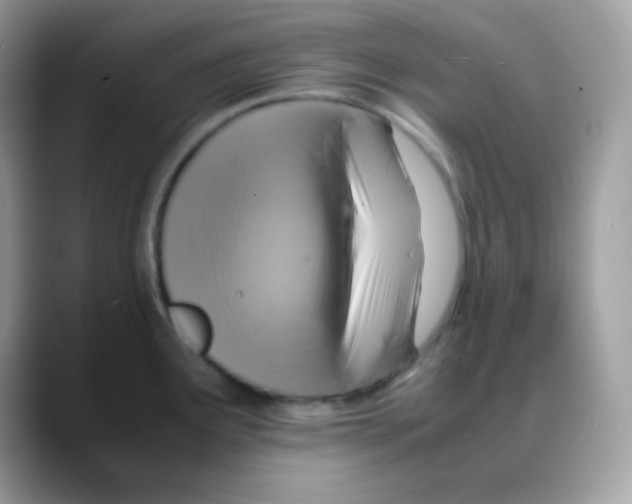 X0000088151291200706111436