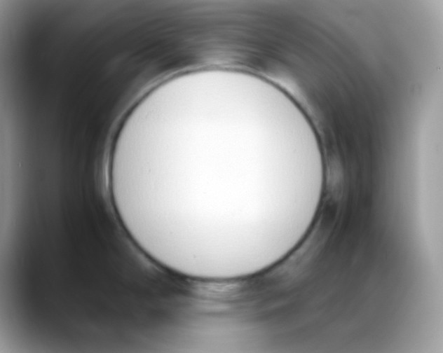 X0000088151294200706111436