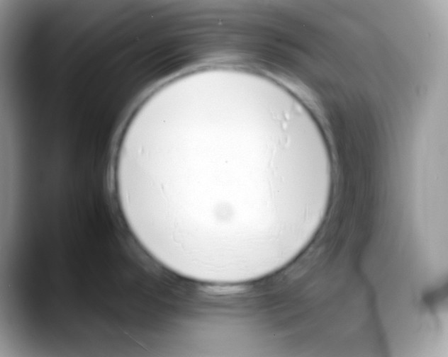 X0000088151296200706111436