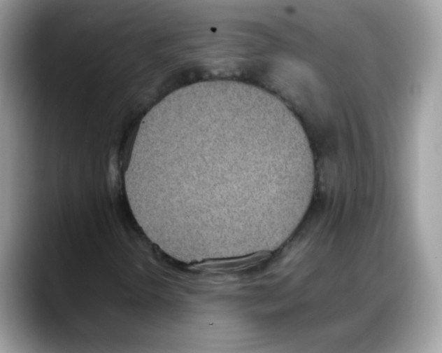 X0000088151298200706111436