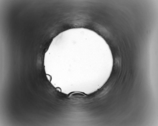 X0000088151300200706111436