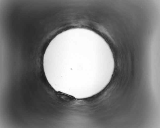 X0000088151304200706111436