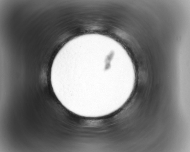 X0000088151305200706111436