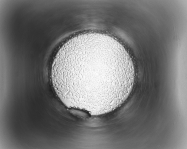 X0000088151310200706111436