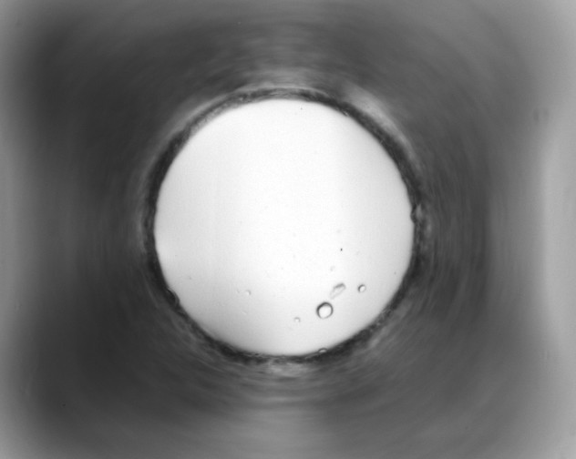 X0000088151312200706111436