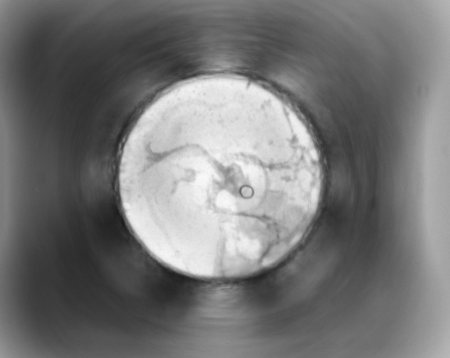 X0000088151314200706111436