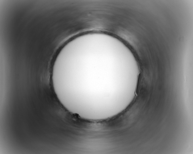 X0000088151316200706111436