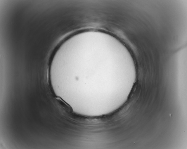 X0000088151320200706111436